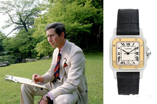 帕玛强尼机械表机芯生锈解决办法集锦 帕玛强尼机械表机芯生锈解决办法集锦